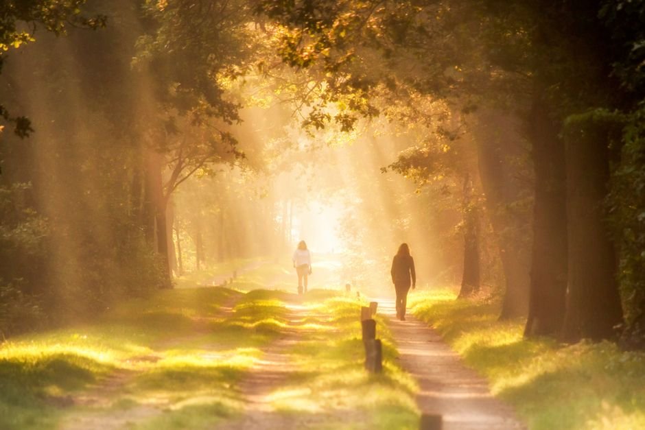 Walking outdoors along a quiet path